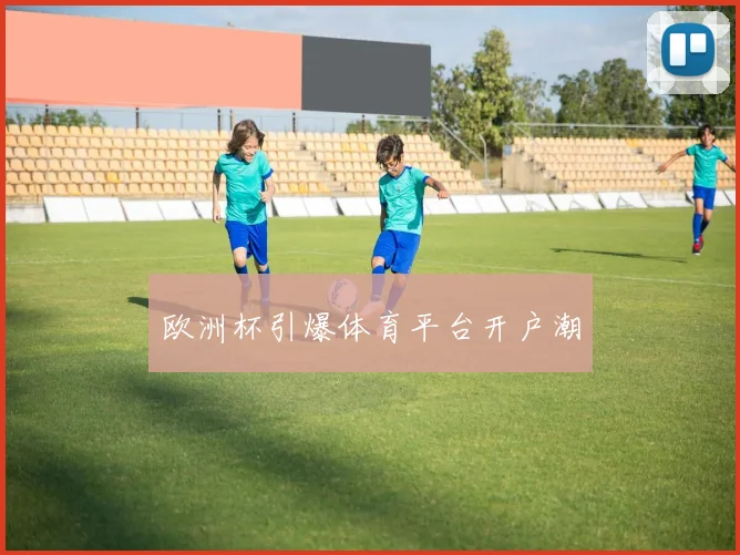 欧洲杯引爆体育平台开户潮