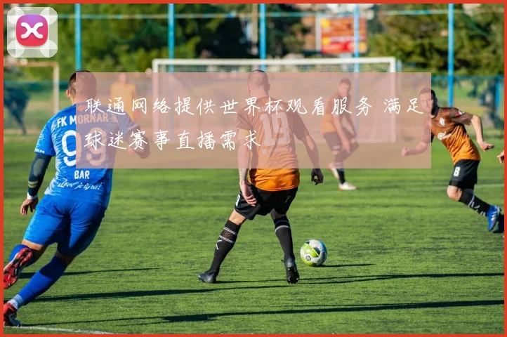 联通网络提供世界杯观看服务 满足球迷赛事直播需求