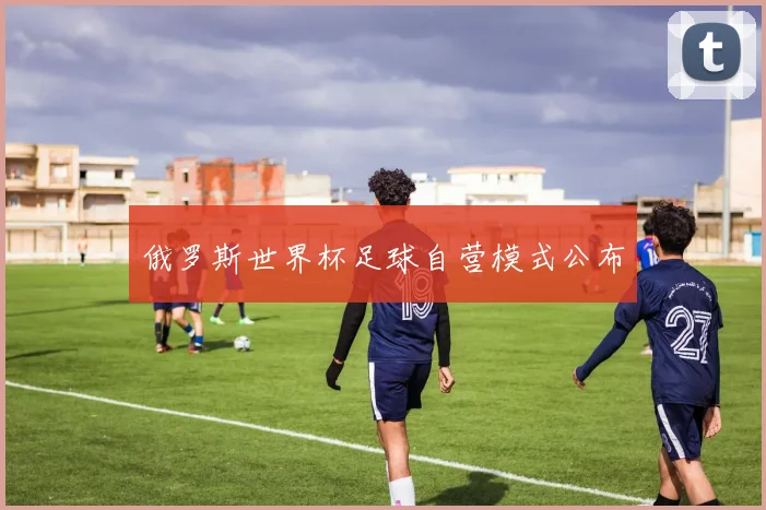 俄罗斯世界杯足球自营模式公布